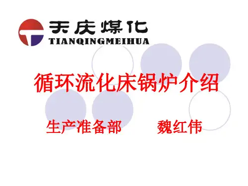 循环流化床锅炉介绍