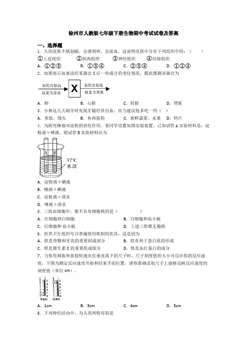 徐州市人教版七年级下册生物期中考试试卷及答案