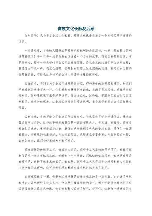 畲族文化长廊观后感