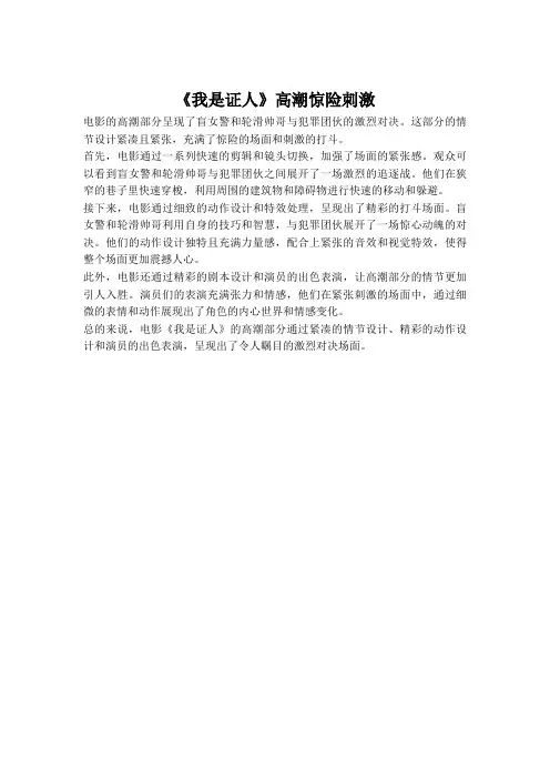 《我是证人》影评—高潮惊险刺激