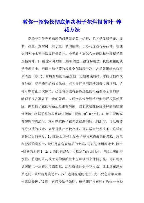 教你一招轻松彻底解决栀子花烂根黄叶 - 养花方法