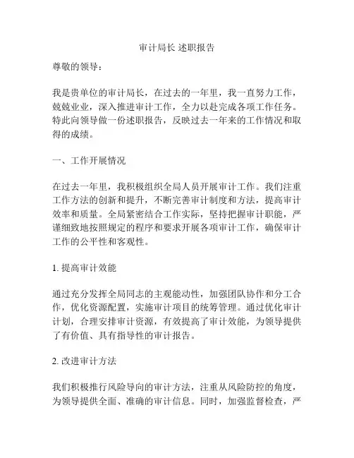 审计局长 述职报告