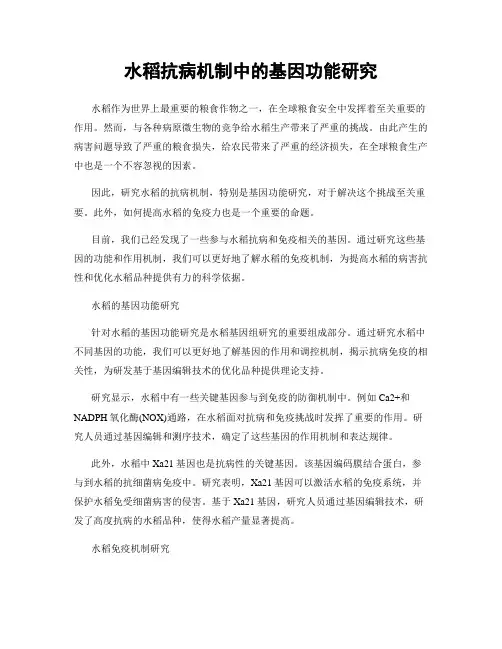 水稻抗病机制中的基因功能研究