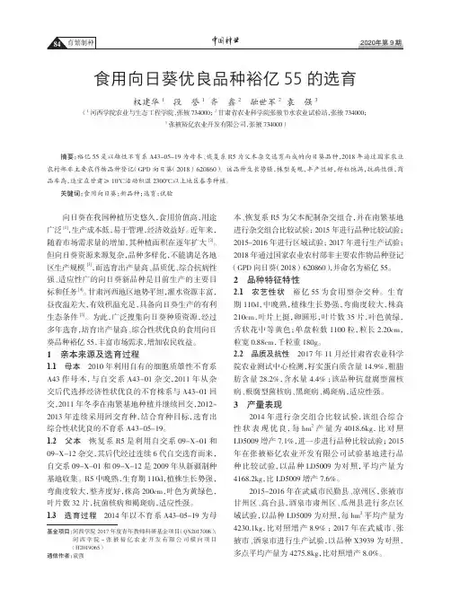 食用向日葵优良品种裕亿55的选育