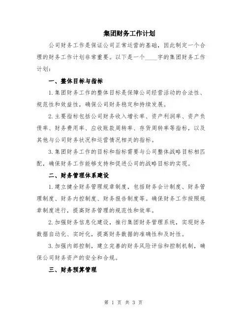 集团财务工作计划