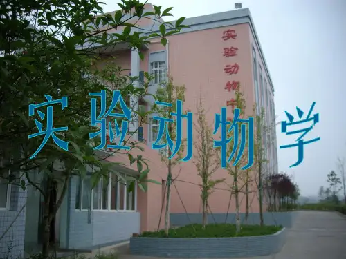 实验动物学基本概念家兔生物学特性