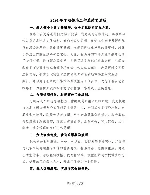 2024年专项整治工作总结简洁版（3篇）