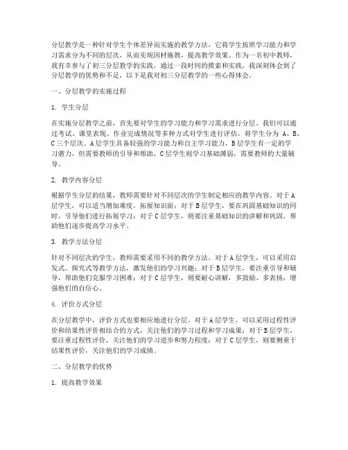 初三分层教学的心得体会