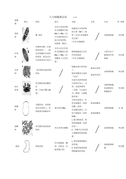 八大细胞器 结构功能总结