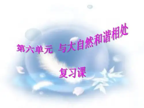 《与大自然和谐相处》单元复习1