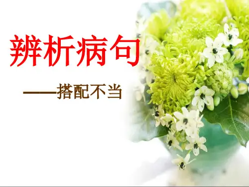 辨析并修改病句2--(搭配不当)