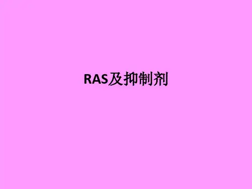 RAS及抑制剂ppt课件