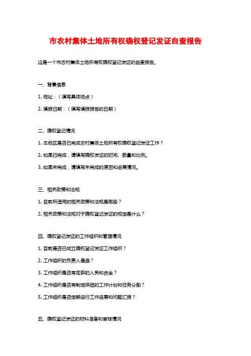 市农村集体土地所有权确权登记发证自查报告