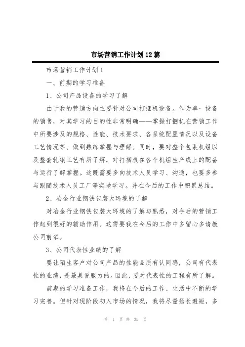 市场营销工作计划12篇