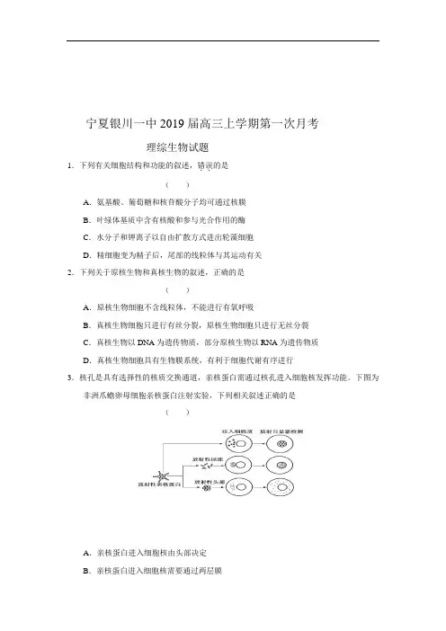 宁夏银川一中2019届高三上学期第一次月考理综生物试题