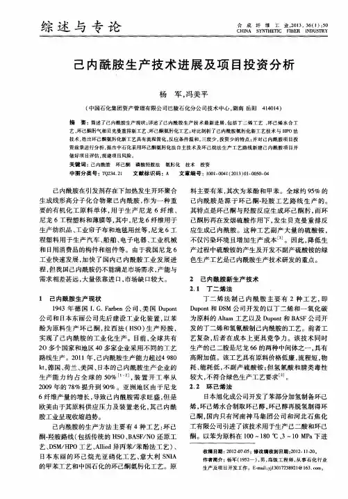 己内酰胺生产技术进展及项目投资分析