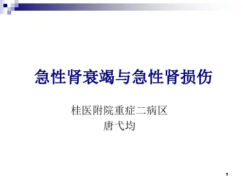 急性肾衰竭与急性肾损伤PPT课件