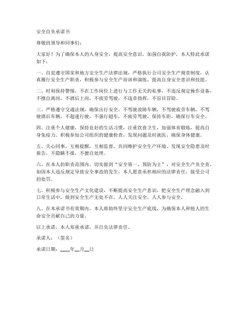 安全自负承诺书