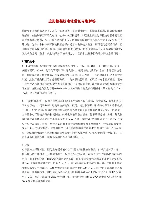 琼脂糖凝胶电泳常见问题解答