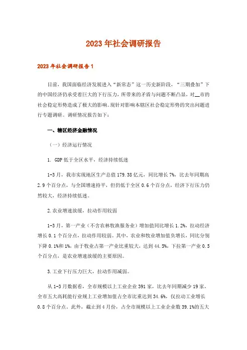 2023年社会调研报告