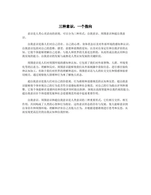 三种意识,一个指向