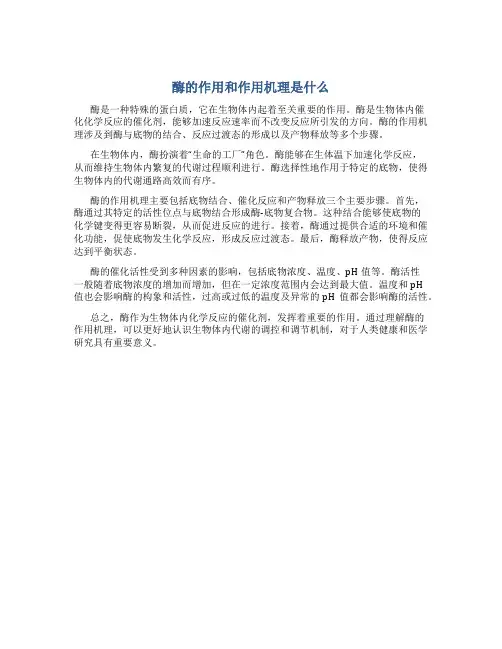 酶的作用和作用机理是什么
