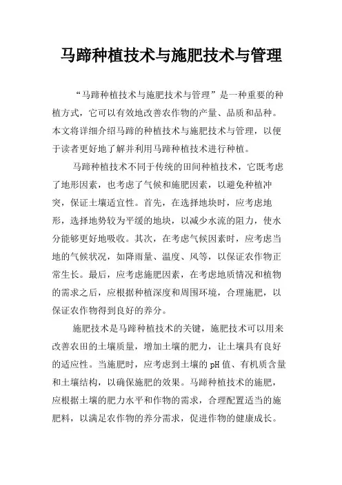 马蹄种植技术与施肥技术与管理