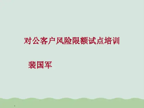 对公客户风险限额试点培训PPT(共26页)