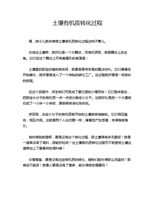 土壤有机质转化过程