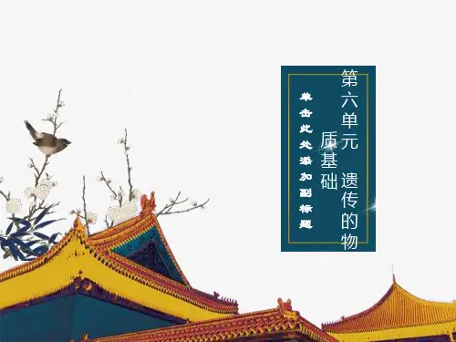 高三生物一轮复习基因表达