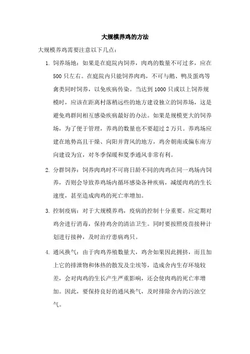 大规模养鸡的方法