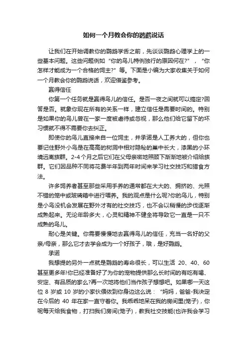 如何一个月教会你的鹦鹉说话
