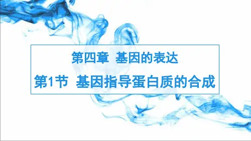 4-1基因指导蛋白质的合成(教学课件)——高中生物人教版(2019) 必修第二册