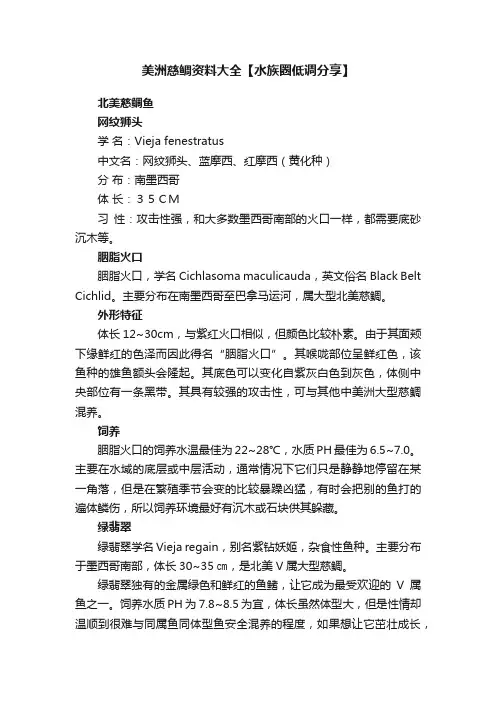 美洲慈鲷资料大全【水族圈低调分享】