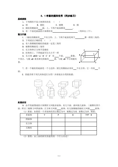 数学：5.1丰富的图形世界同步练习(苏科版七年级上)