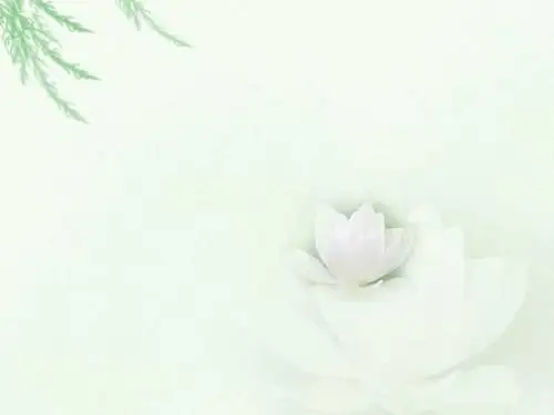 不含括号的混合运算