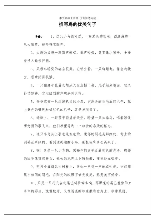 描写鸟的优美句子