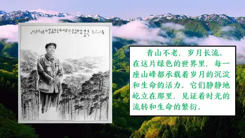 青山不老ppt课件