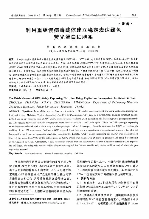 利用重组慢病毒载体建立稳定表达绿色荧光蛋白细胞系