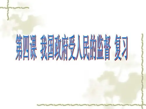 政治生活第四课一轮复习课件