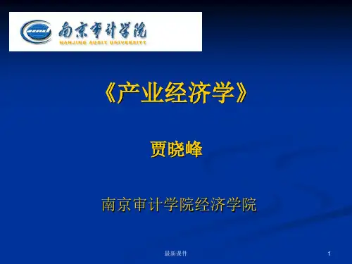 产业经济学课程第三章PPT