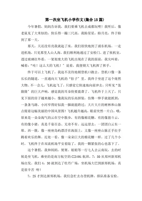 第一次坐飞机小学作文(集合15篇)范文精选