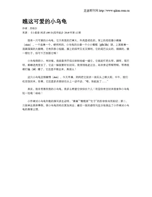 瞧这可爱的小乌龟