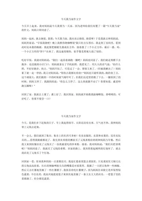 今天我当家作文500字_2