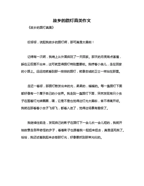 故乡的路灯真美作文
