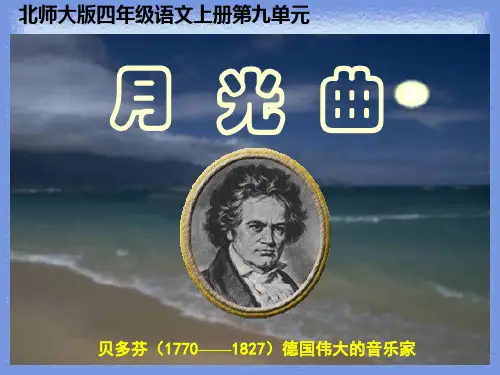 语文四年级上册第9单元《月光曲》课件