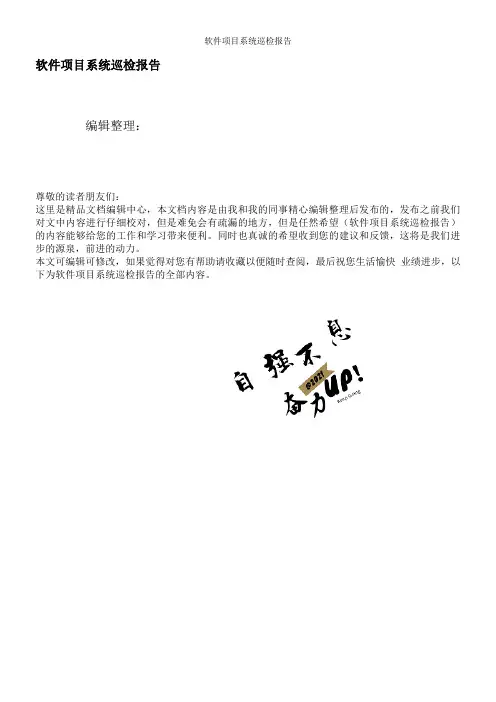 软件项目系统巡检报告