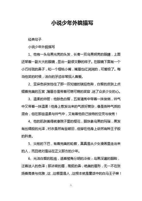 小说少年外貌描写