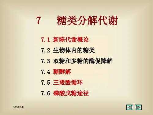 生物化学--糖代谢