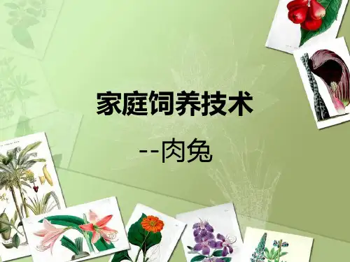 养兔实用技术培训资料